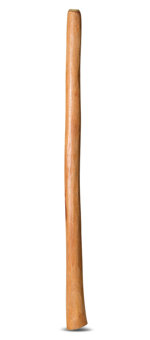 Medium Size Natural Finish Didgeridoo (TW446)